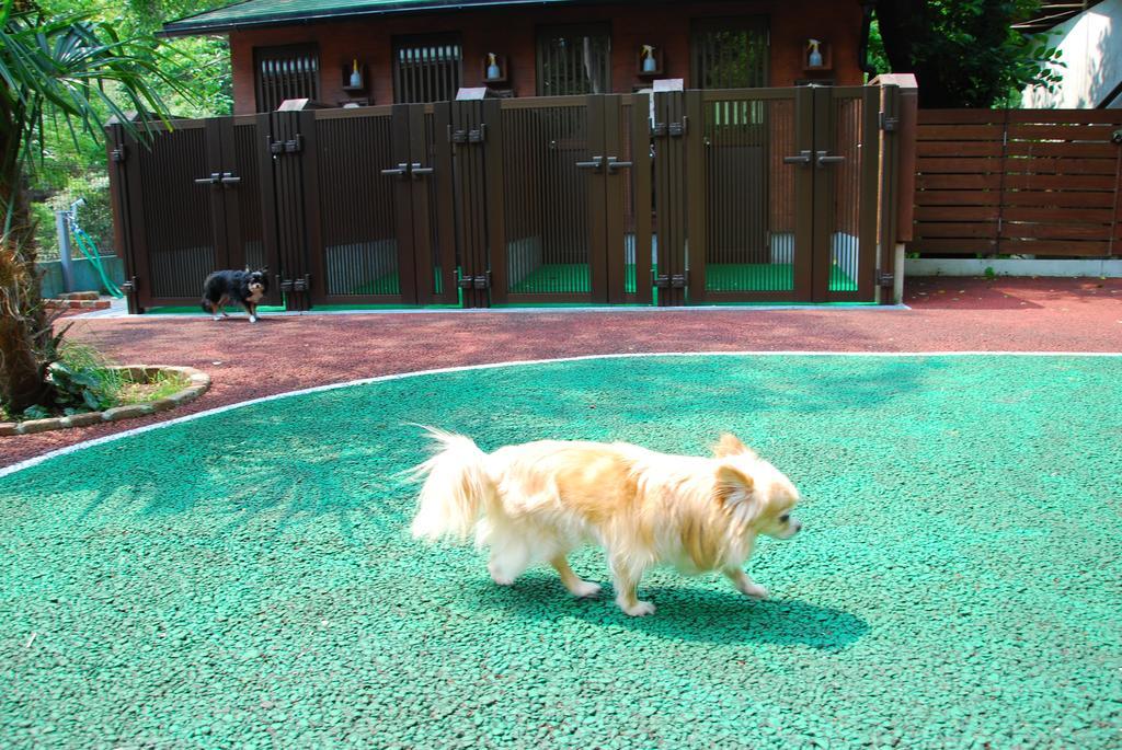 Okumizuma Onsen Hotel Kaizuka Exterior foto